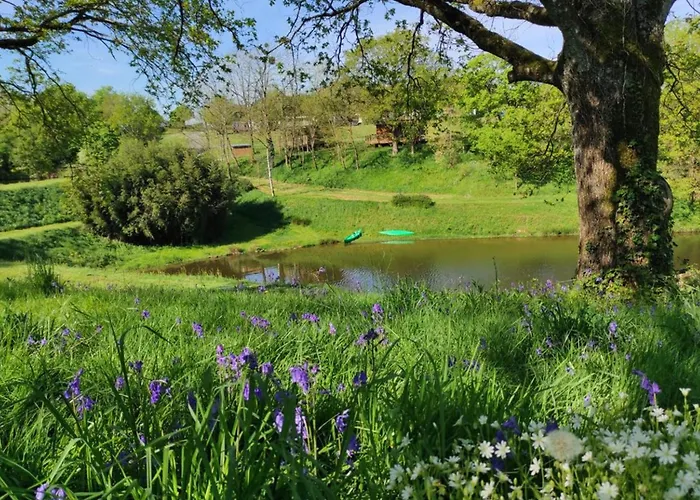 Kemping Mobil-home Avec Terrasse - 6 Pers. - Api-1-52-2125